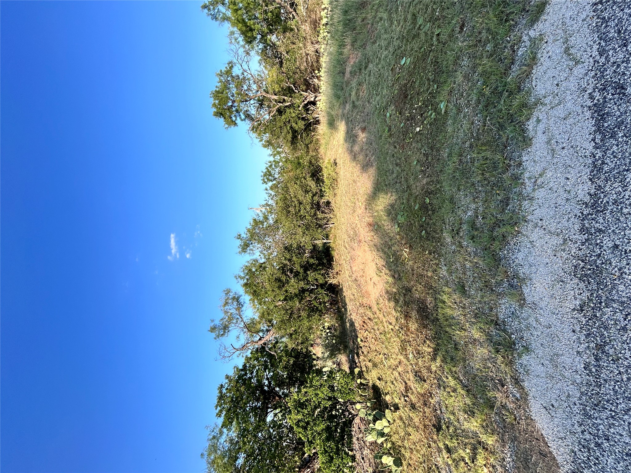TBD Cactus TRL, Kingsland, TX, 78639 | 7287192 | Realty Texas LLC