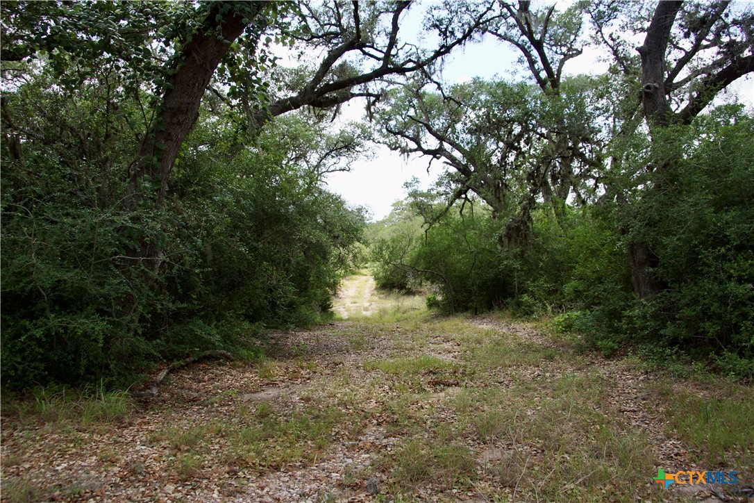 000 Zengerle Rd Tract 11, Thomaston, TX, 77954 | 581880 | Realty Texas LLC