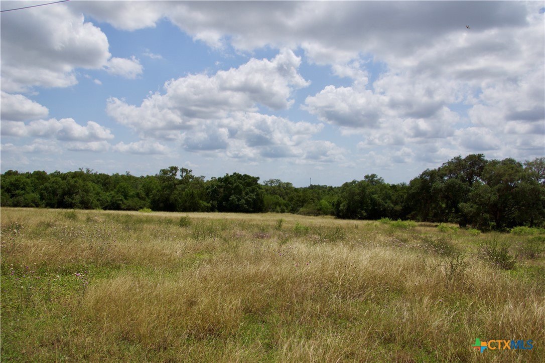 000 Zengerle Rd Tract 11, Thomaston, TX, 77954 | 581880 | Realty Texas LLC