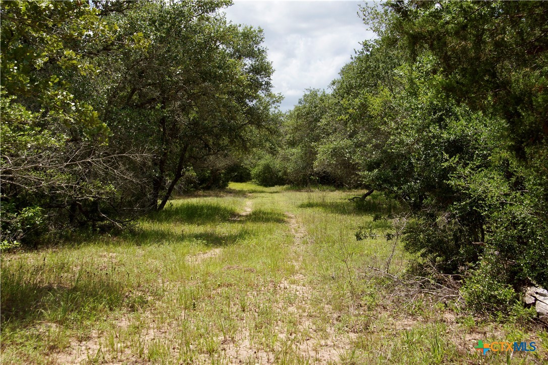 000 Zengerle Rd Tract 11, Thomaston, TX, 77954 | 581880 | Realty Texas LLC