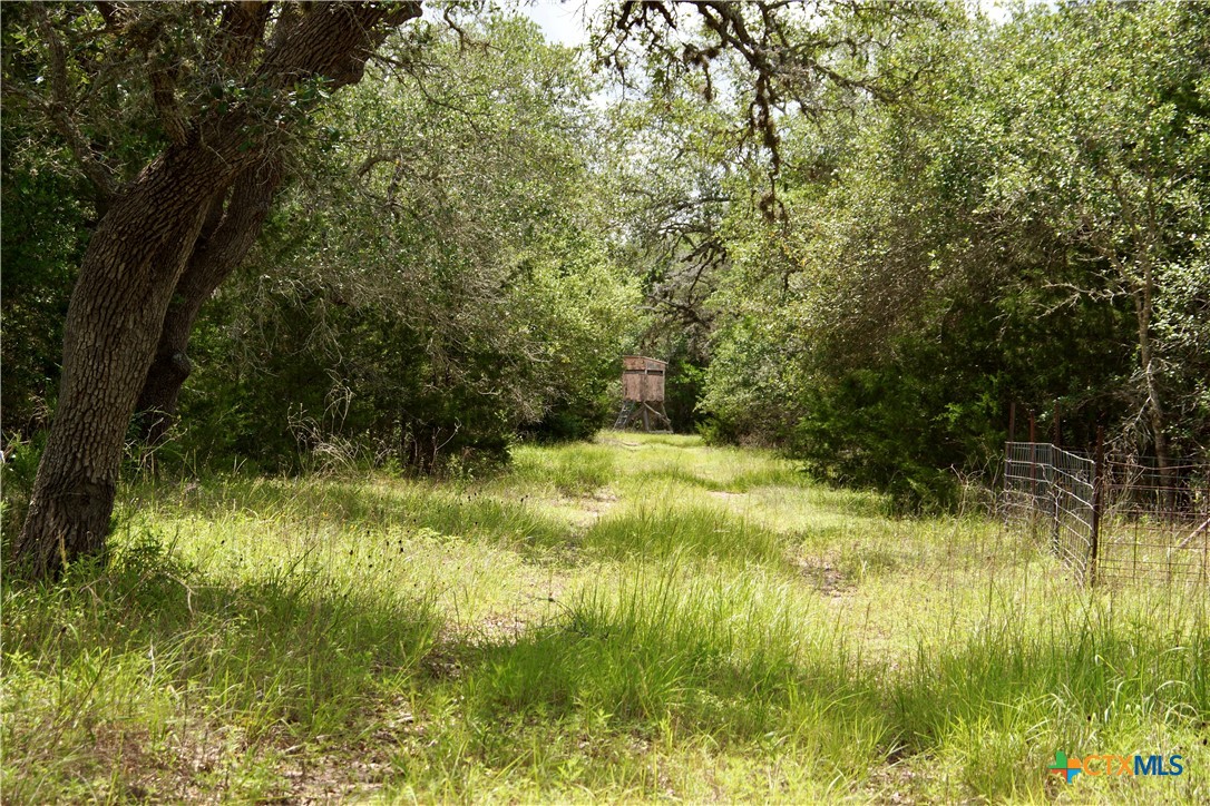 000 Zengerle Rd Tract 11, Thomaston, TX, 77954 | 581880 | Realty Texas LLC