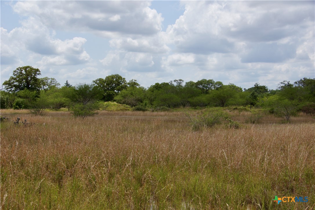 000 Zengerle Rd Tract 11, Thomaston, TX, 77954 | 581880 | Realty Texas LLC