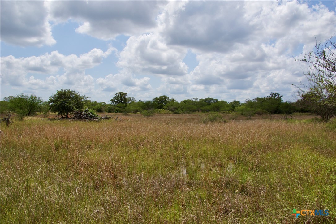 000 Zengerle Rd Tract 11, Thomaston, TX, 77954 | 581880 | Realty Texas LLC