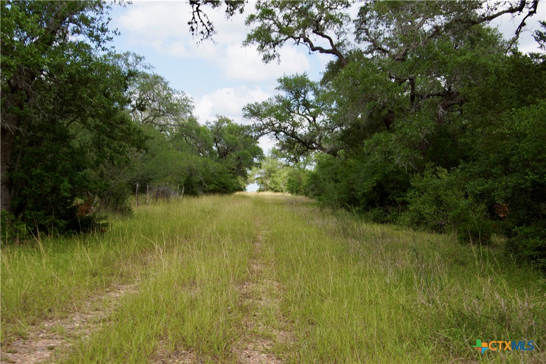 000 Zengerle Rd Tract 11, Thomaston, TX, 77954 | 581880 | Realty Texas LLC