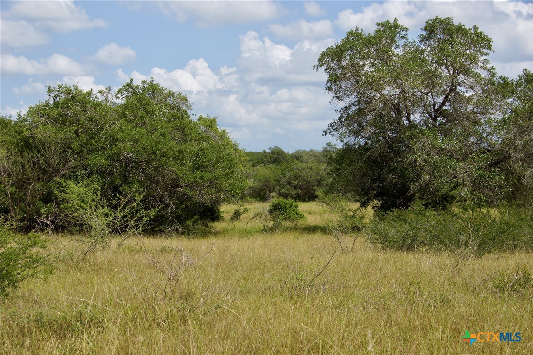 000 Zengerle Rd Tract 11, Thomaston, TX, 77954 | 581880 | Realty Texas LLC