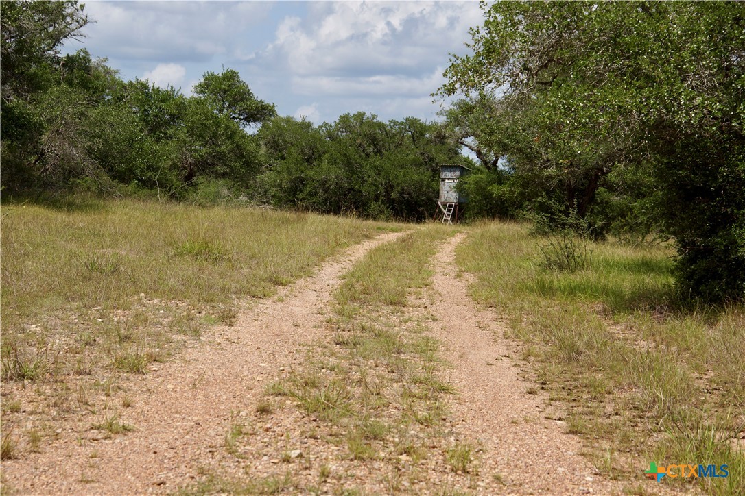 000 Zengerle Rd Tract 11, Thomaston, TX, 77954 | 581880 | Realty Texas LLC