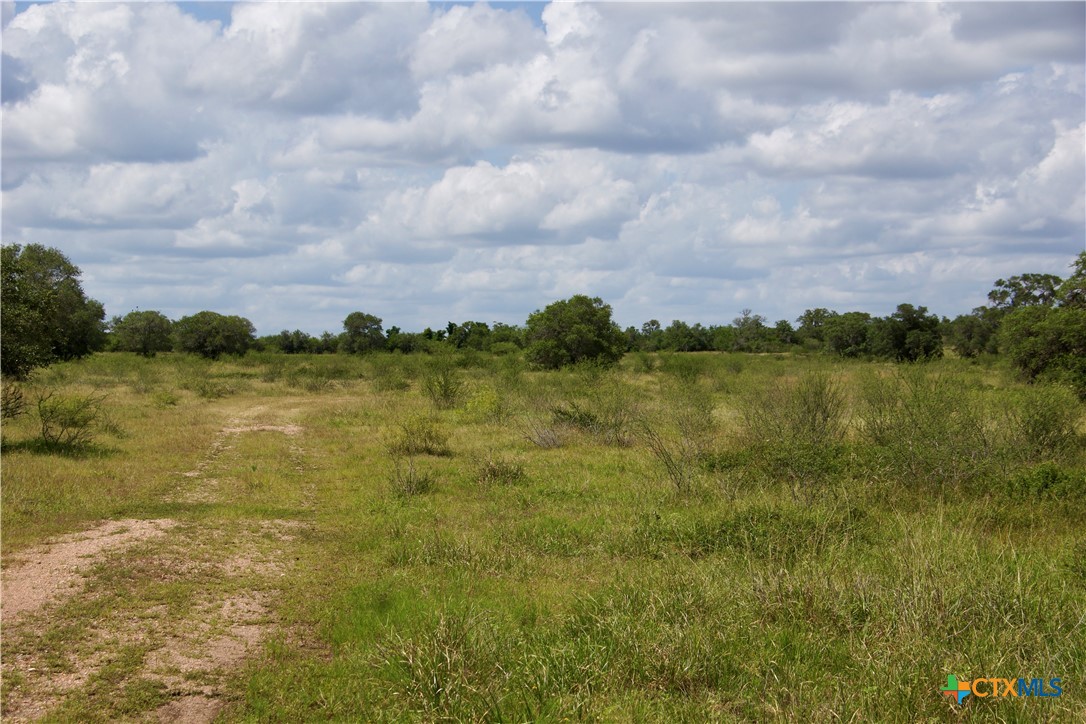 000 Zengerle Rd Tract 11, Thomaston, TX, 77954 | 581880 | Realty Texas LLC