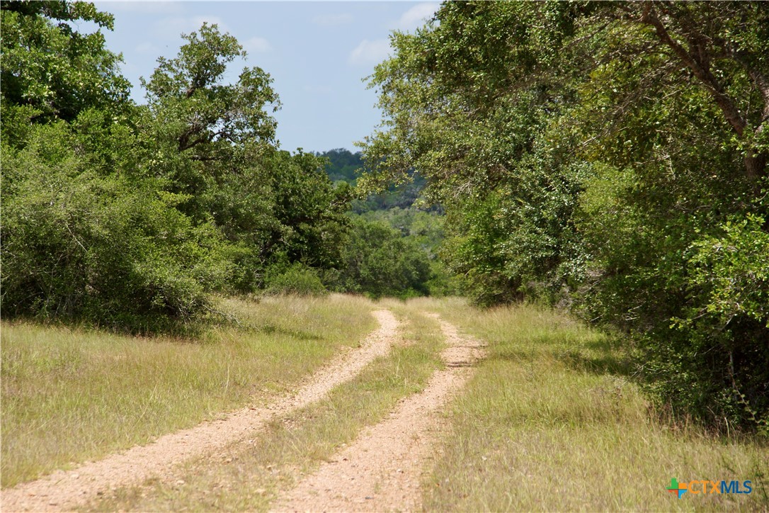 000 Zengerle Rd Tract 11, Thomaston, TX, 77954 | 581880 | Realty Texas LLC