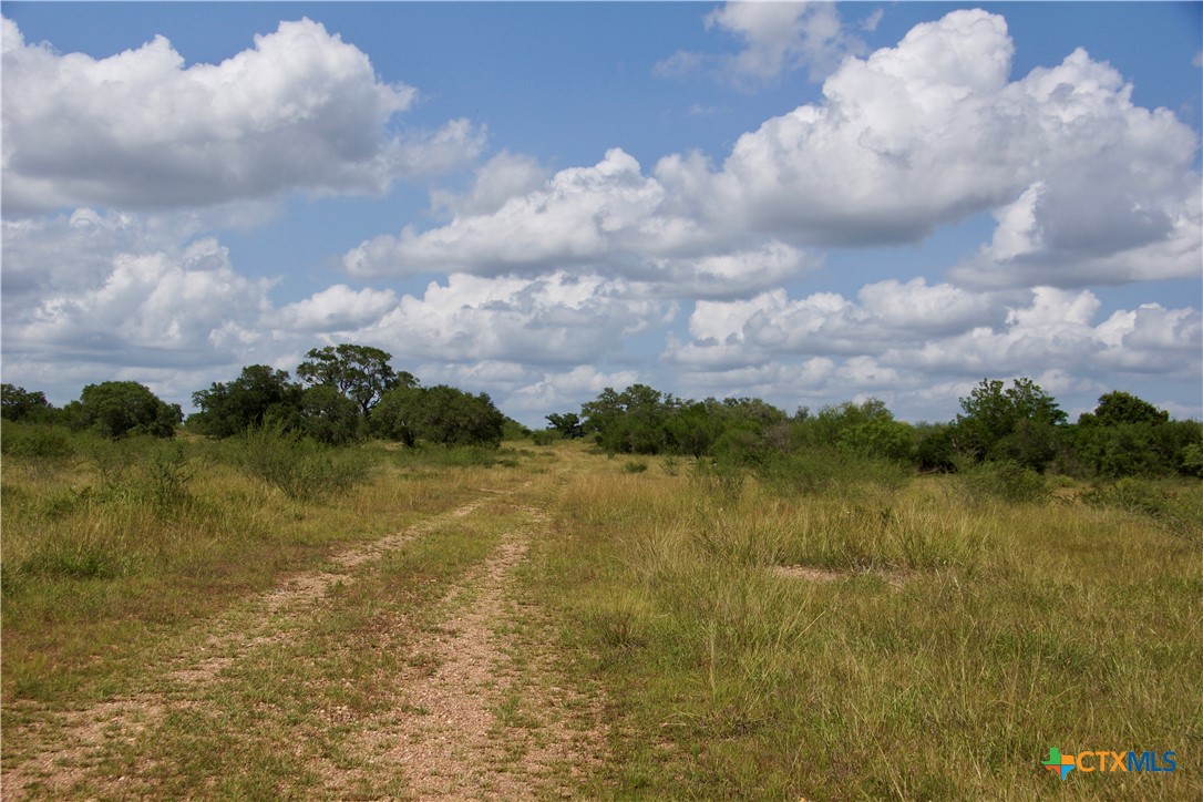 000 Zengerle Rd Tract 11, Thomaston, TX, 77954 | 581880 | Realty Texas LLC