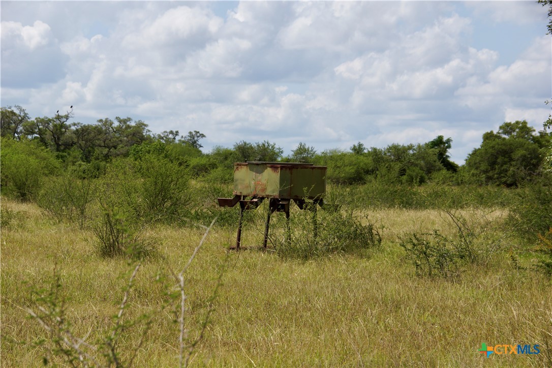 000 Zengerle Rd Tract 11, Thomaston, TX, 77954 | 581880 | Realty Texas LLC
