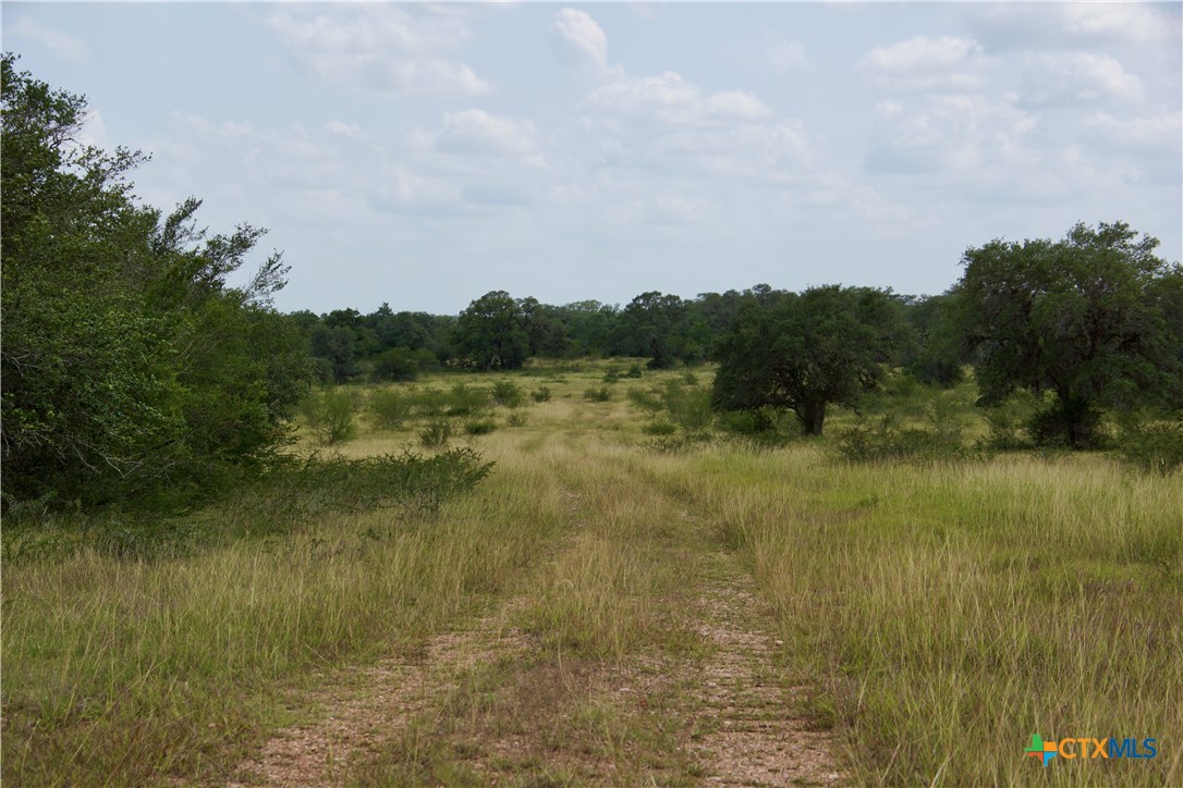 000 Zengerle Rd Tract 11, Thomaston, TX, 77954 | 581880 | Realty Texas LLC