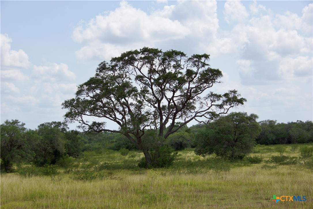 000 Zengerle Rd Tract 11, Thomaston, TX, 77954 | 581880 | Realty Texas LLC