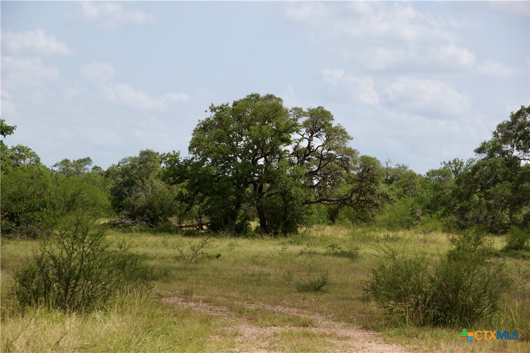 000 Zengerle Rd Tract 11, Thomaston, TX, 77954 | 581880 | Realty Texas LLC