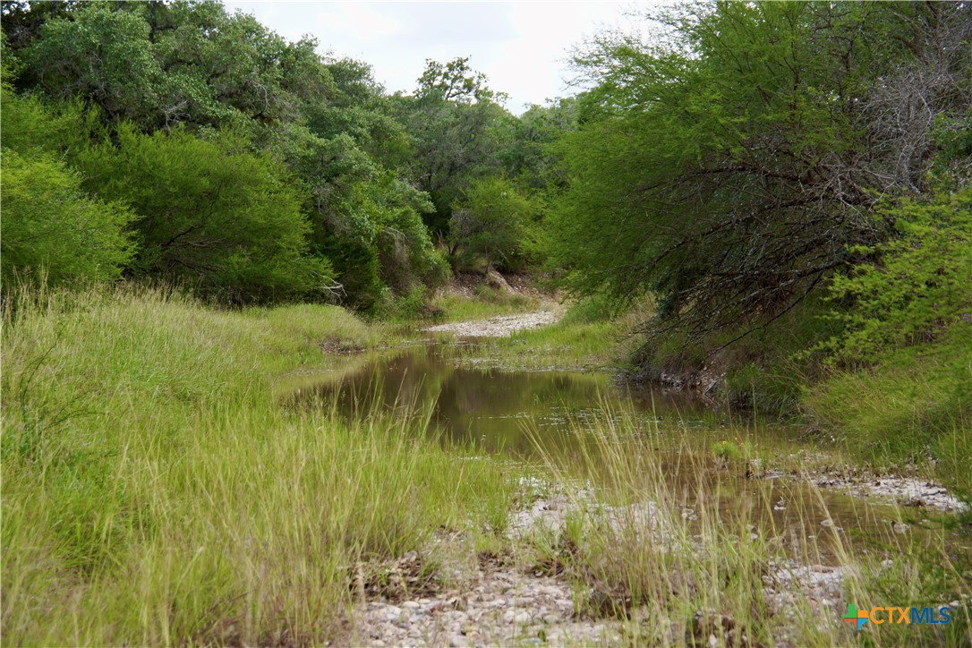 000 Zengerle Rd Tract 11, Thomaston, TX, 77954 | 581880 | Realty Texas LLC