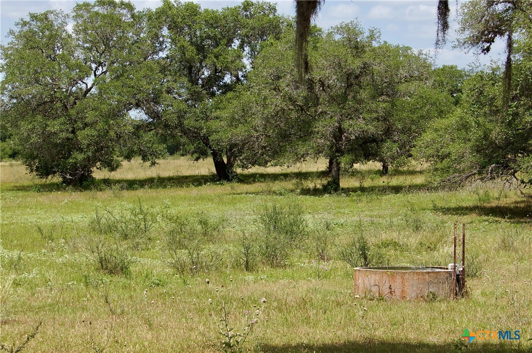 000 Zengerle Rd Tract 11, Thomaston, TX, 77954 | 581880 | Realty Texas LLC