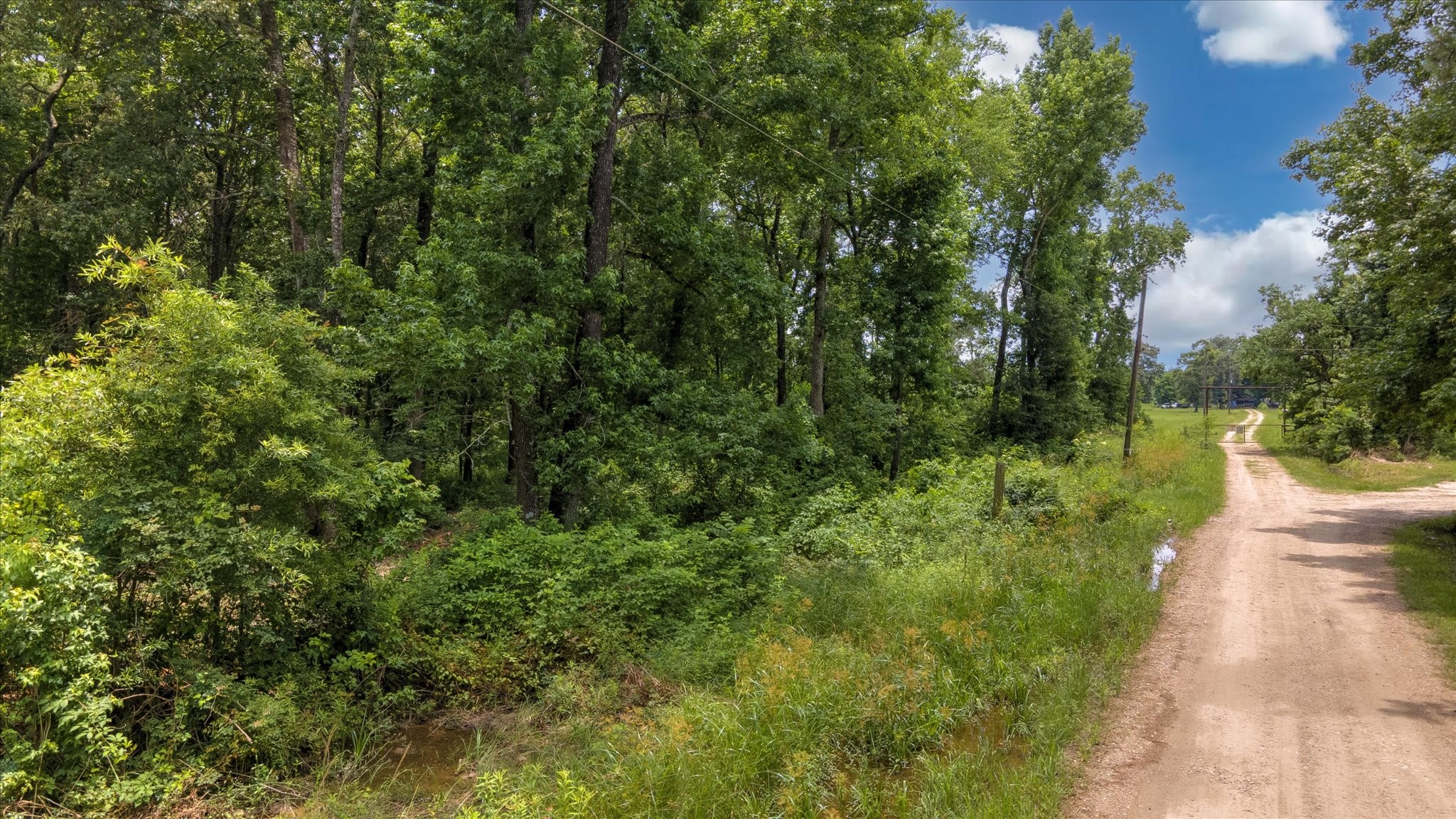 00 Lloyd Fregia Road, Batson, TX, 77519 | 97246938 | Realty Texas LLC