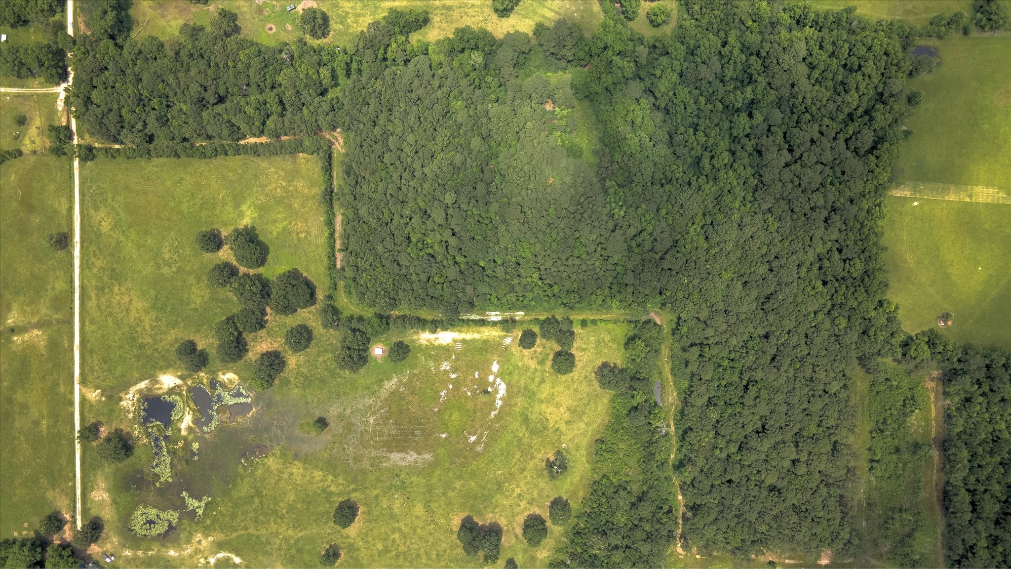 00 Lloyd Fregia Road, Batson, TX, 77519 | 97246938 | Realty Texas LLC