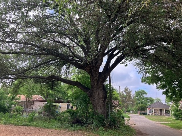 204 E Dry Street, San Saba, TX, 76877 | 25476609 | Realty Texas LLC