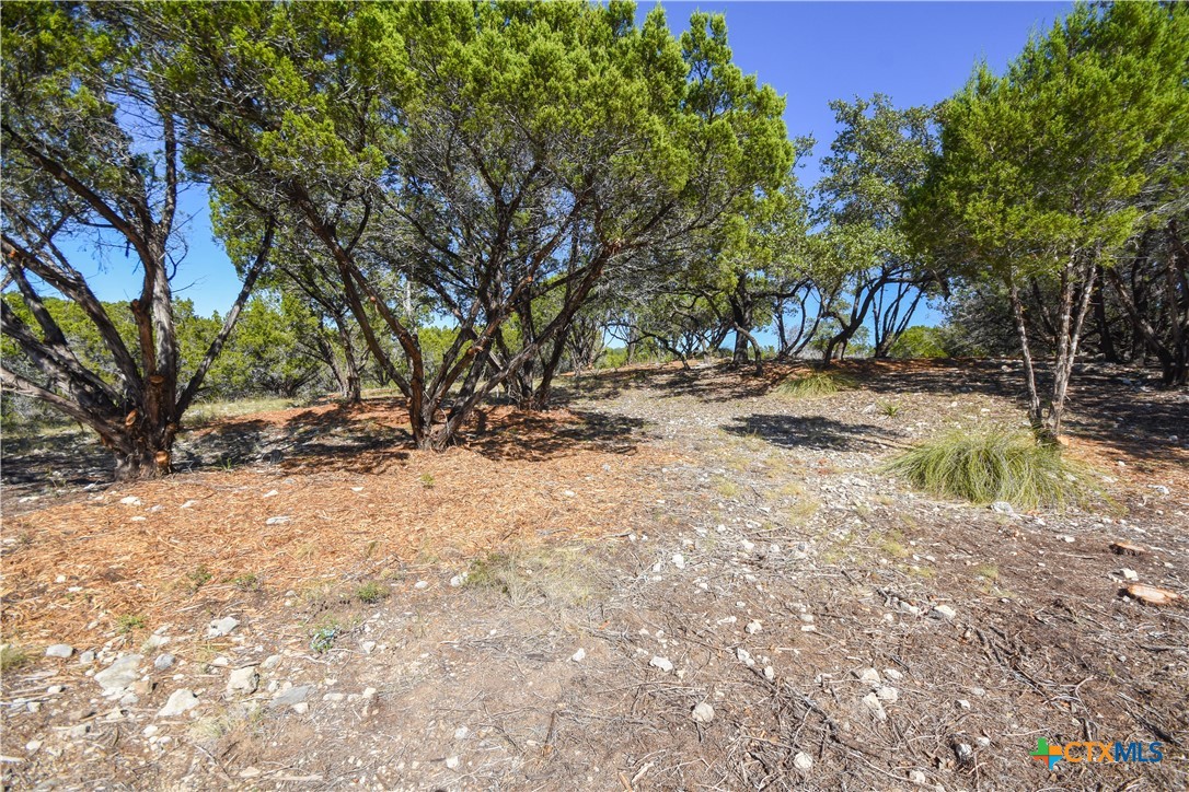 20008 Charlestown Cove, Lago Vista, TX, 78645 | 582060 | Realty Texas LLC