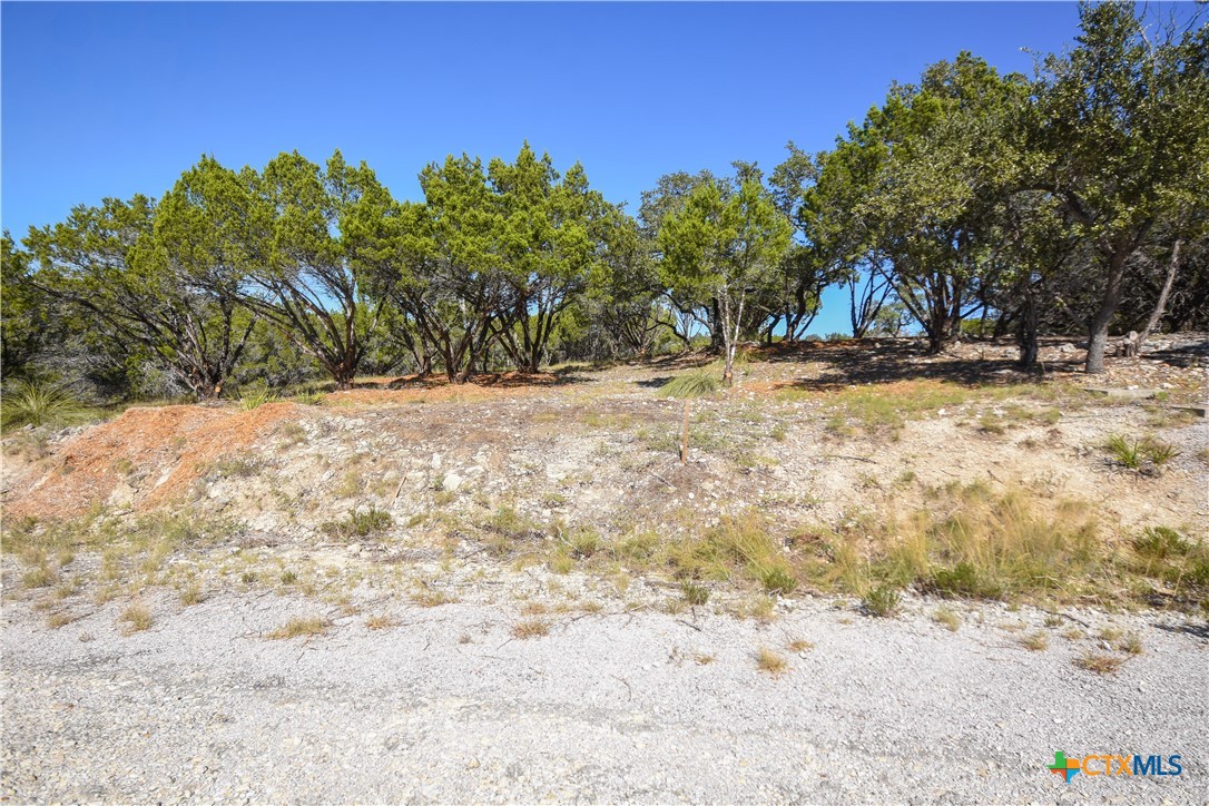 20008 Charlestown Cove, Lago Vista, TX, 78645 | 582060 | Realty Texas LLC