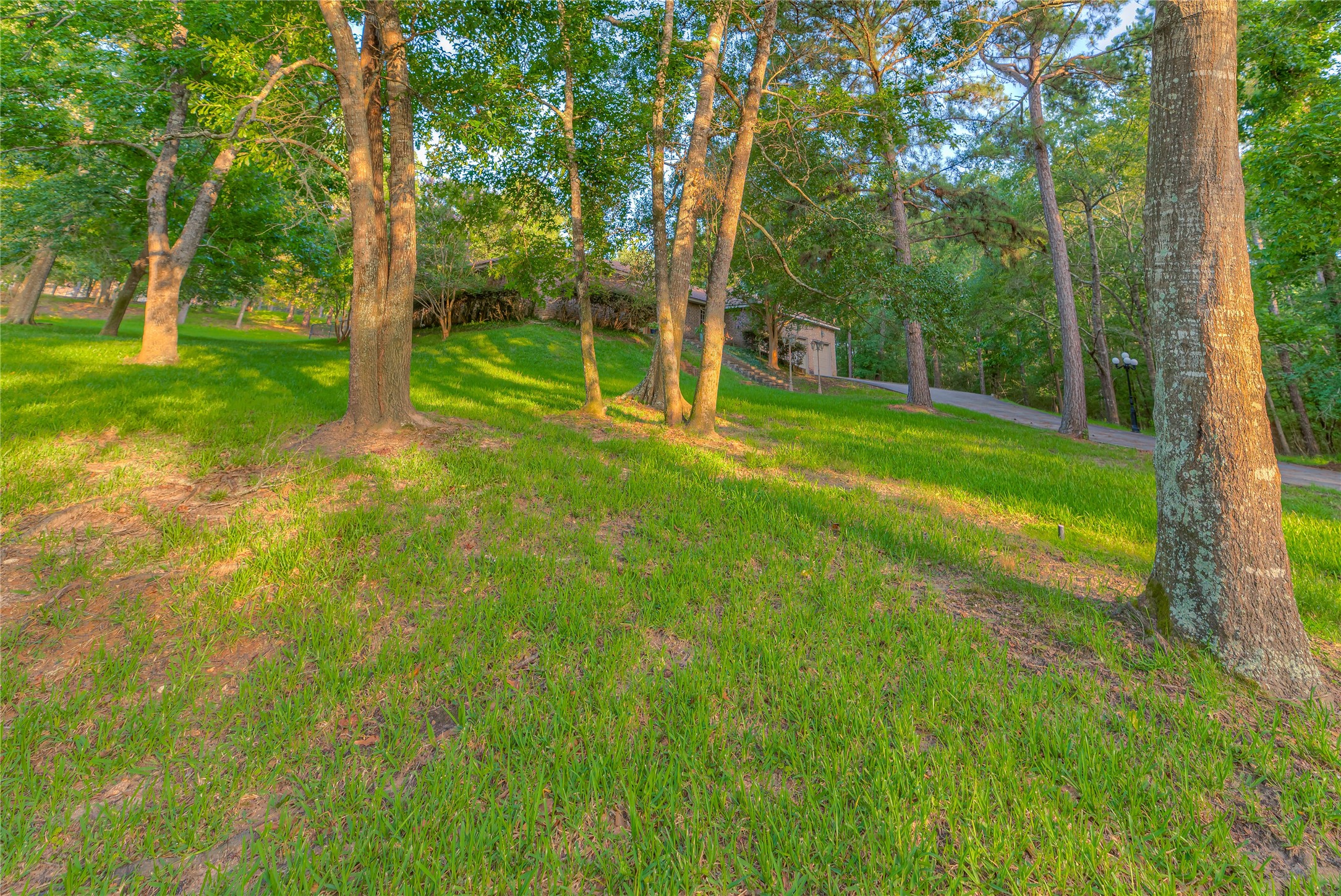 156 Magnolia Bend Drive , Livingston, TX, 77351 | 8979918 | Realty Texas LLC