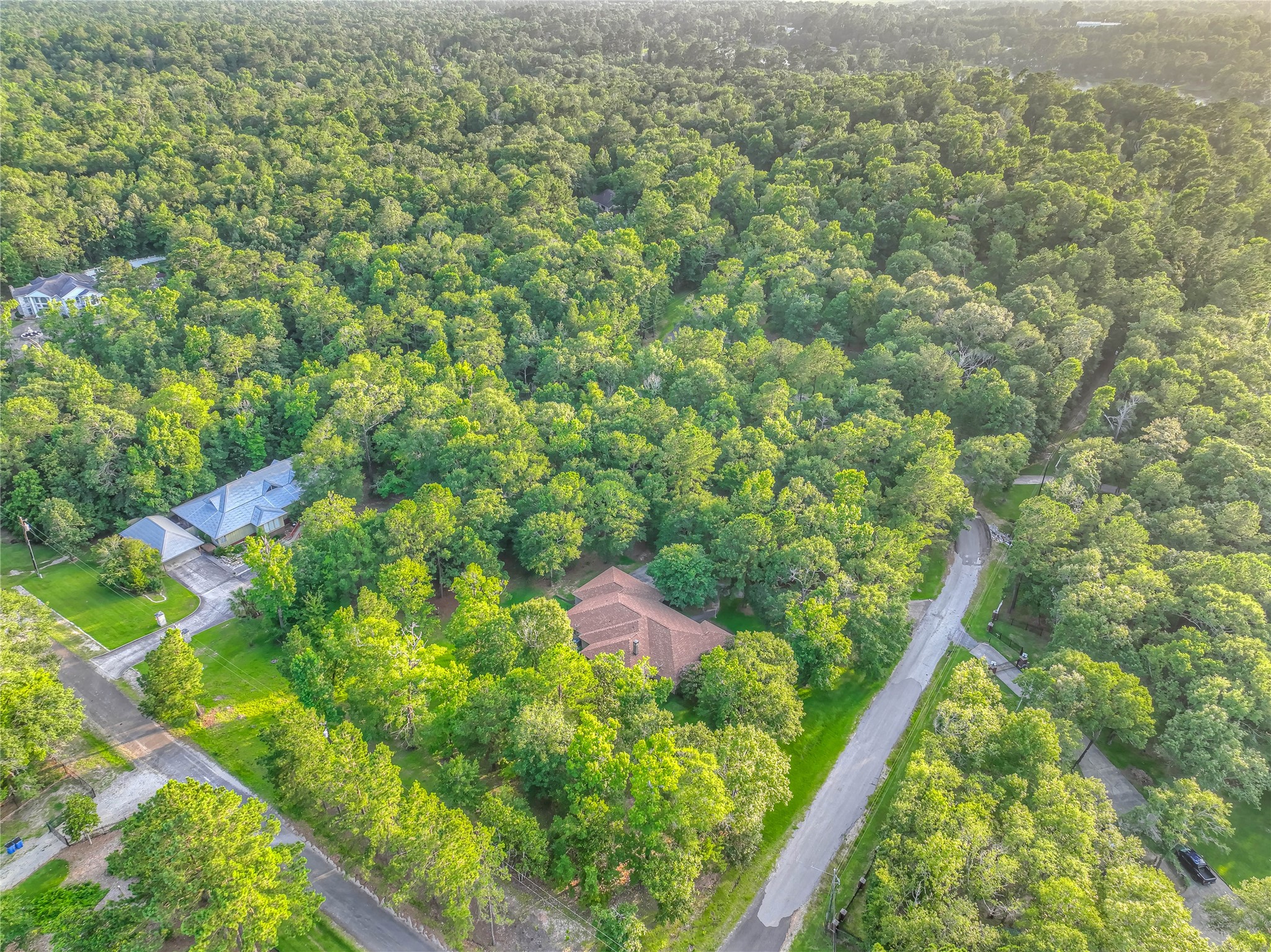 156 Magnolia Bend Drive , Livingston, TX, 77351 | 8979918 | Realty Texas LLC