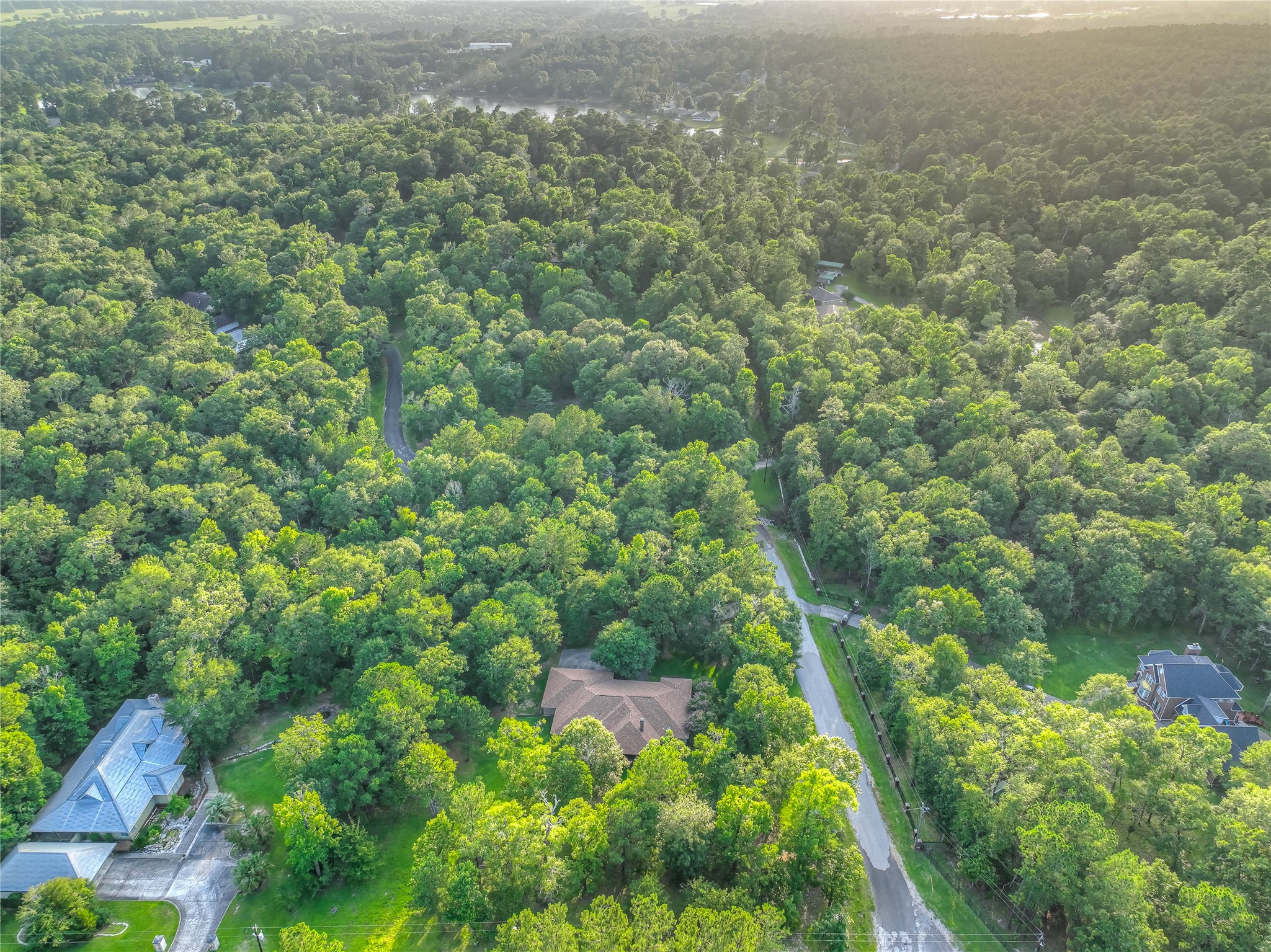 156 Magnolia Bend Drive , Livingston, TX, 77351 | 8979918 | Realty Texas LLC