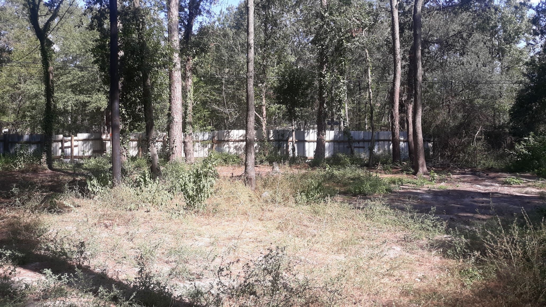 20916 Stevens Street, New Caney, TX, 77357 | 27629954 | Realty Texas LLC