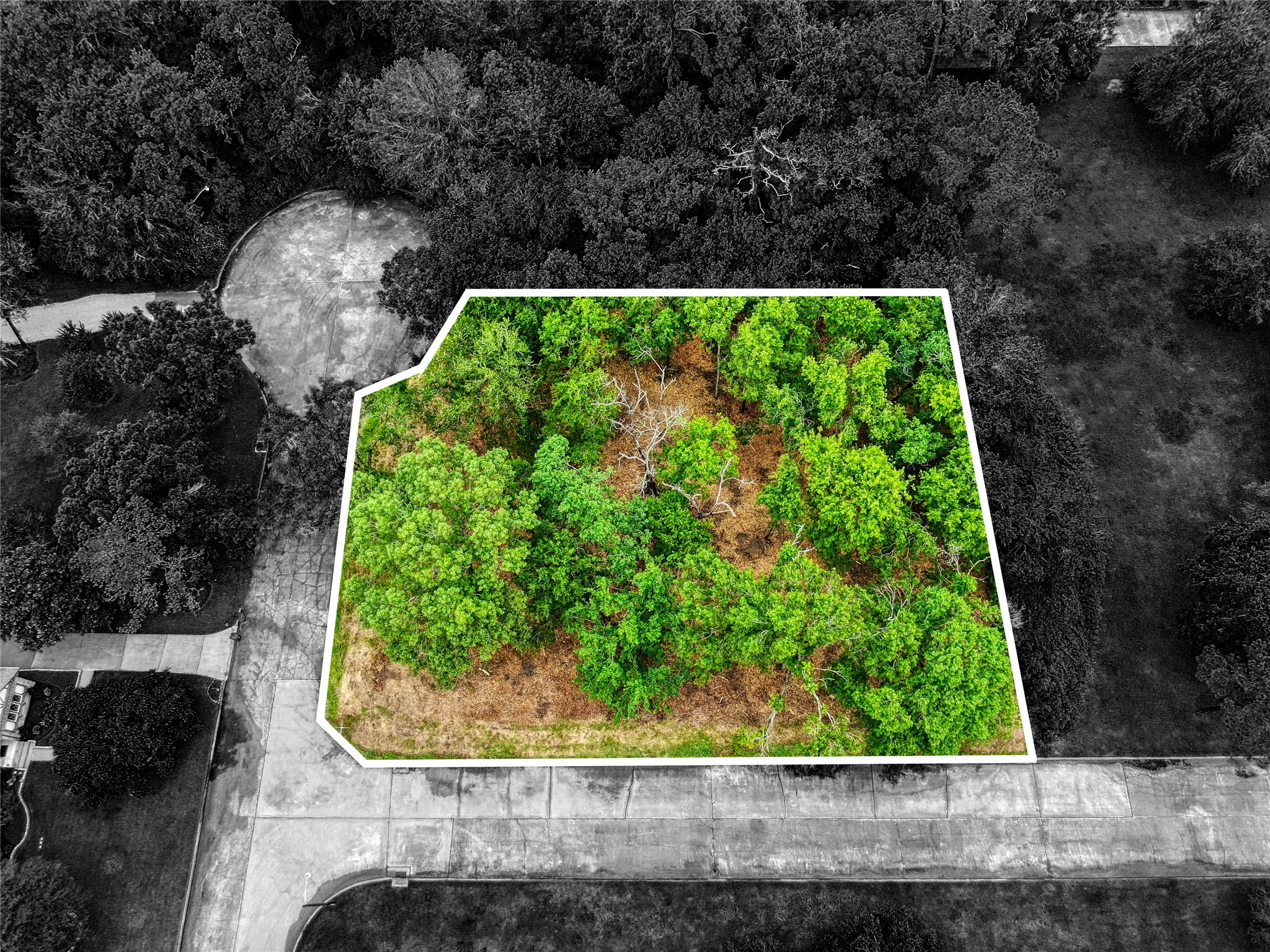 501 Colonial Drive, Friendswood, TX, 77546 | 87030782 | Realty Texas LLC