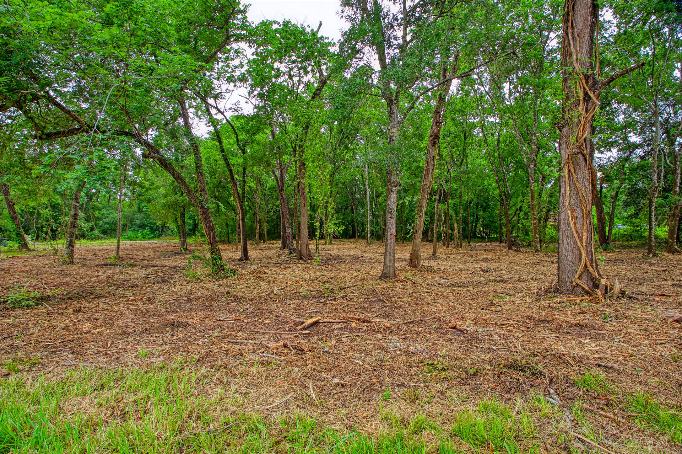 501 Colonial Drive, Friendswood, TX, 77546 | 87030782 | Realty Texas LLC