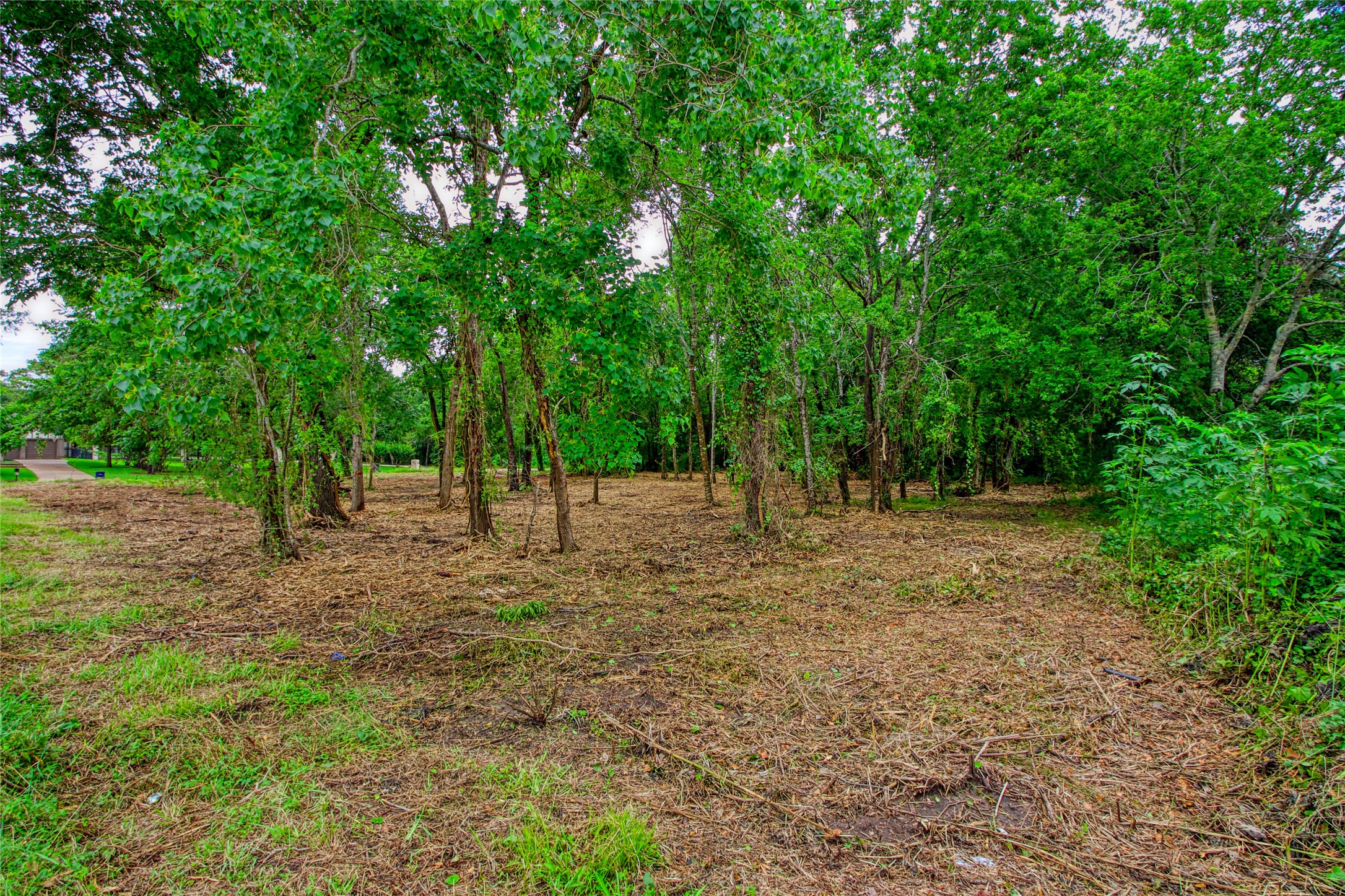 501 Colonial Drive, Friendswood, TX, 77546 | 87030782 | Realty Texas LLC