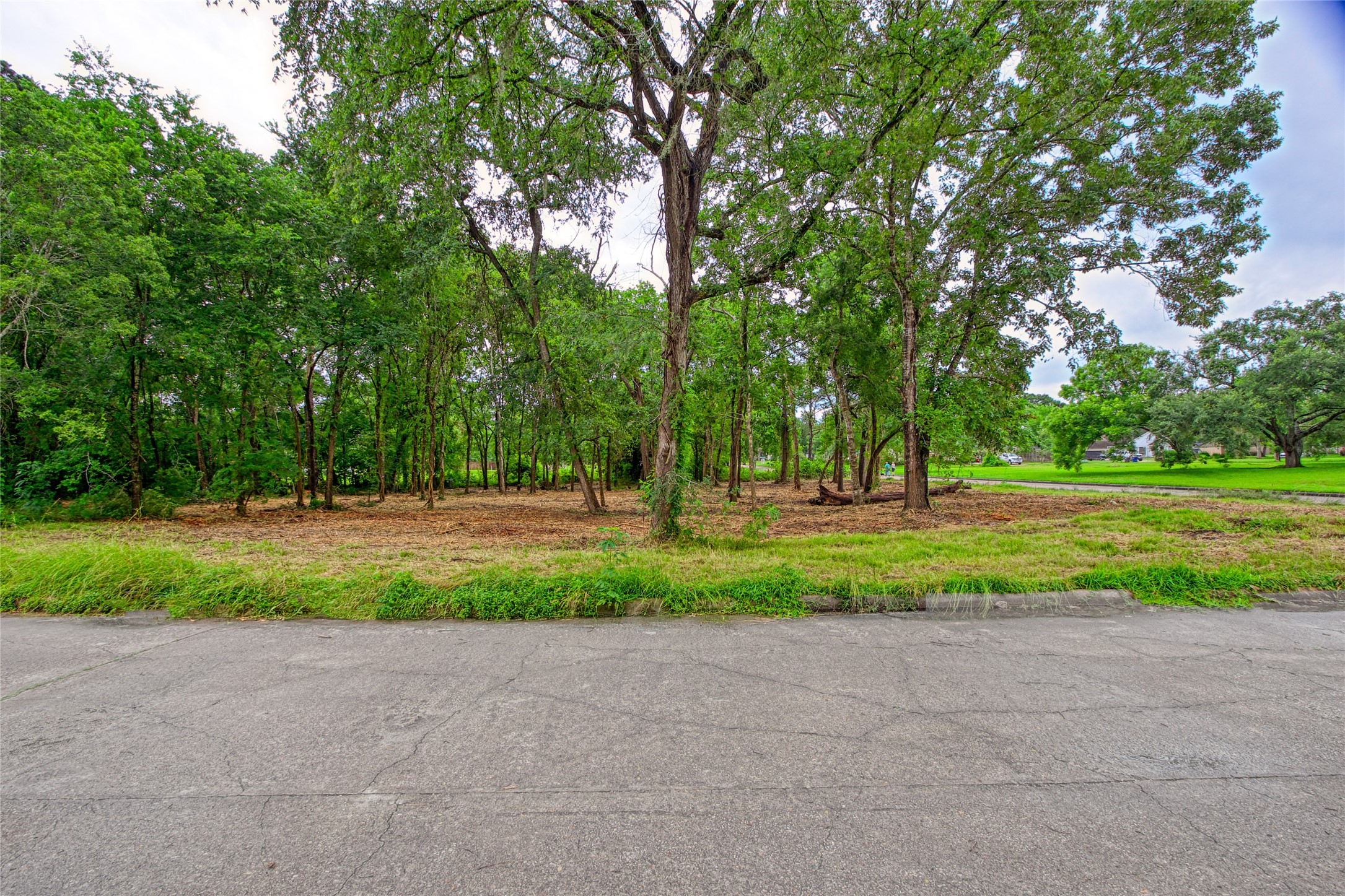 501 Colonial Drive, Friendswood, TX, 77546 | 87030782 | Realty Texas LLC