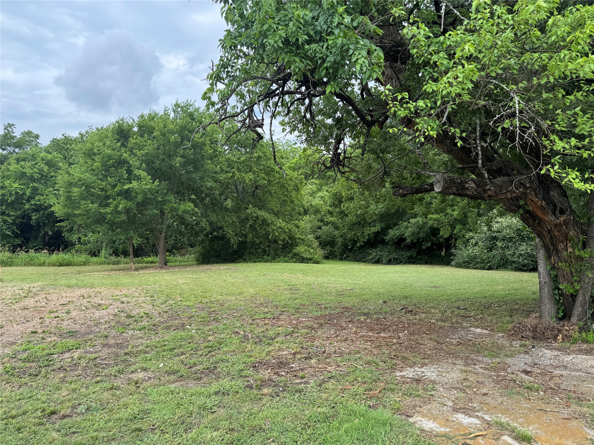 212 N Harrison Avenue, Sherman, TX, 75090 | 20956063 | Realty Texas LLC