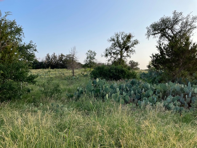 Lot 23 Cr 140, Burnet, TX, 78611 | 5808336 | Realty Texas LLC