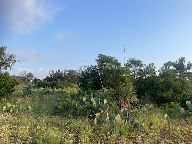 Lot 23 Cr 140, Burnet, TX, 78611 | 5808336 | Realty Texas LLC