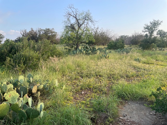 Lot 23 Cr 140, Burnet, TX, 78611 | 5808336 | Realty Texas LLC
