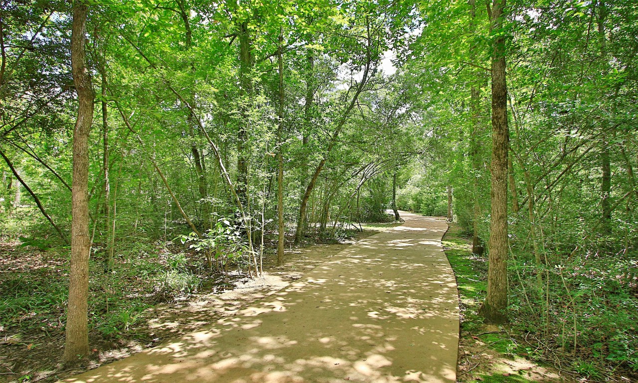 206 Brecon Buff Drive, Willis, TX, 77318 | 26939914 | Realty Texas LLC