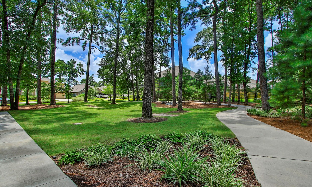206 Brecon Buff Drive, Willis, TX, 77318 | 26939914 | Realty Texas LLC