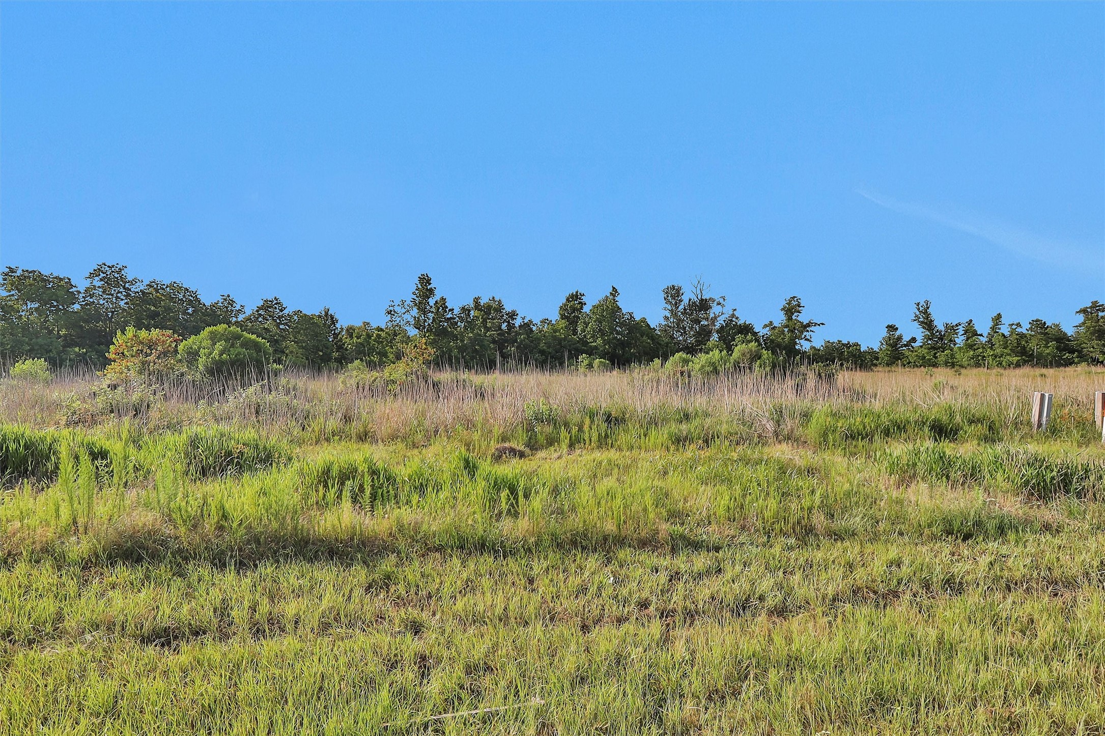 1626 Road 5702, Cleveland, TX, 77327 | 88174988 | Realty Texas LLC