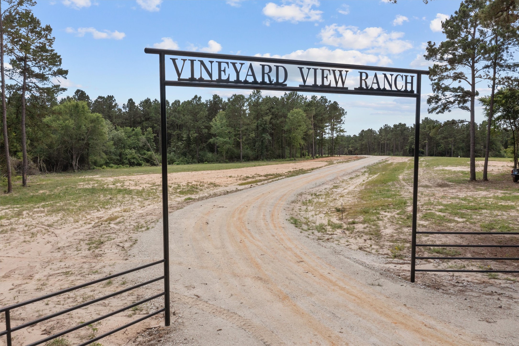 656 Vineyard View Trail, Grapeland, TX, 75844 | 97960530 | Realty Texas LLC