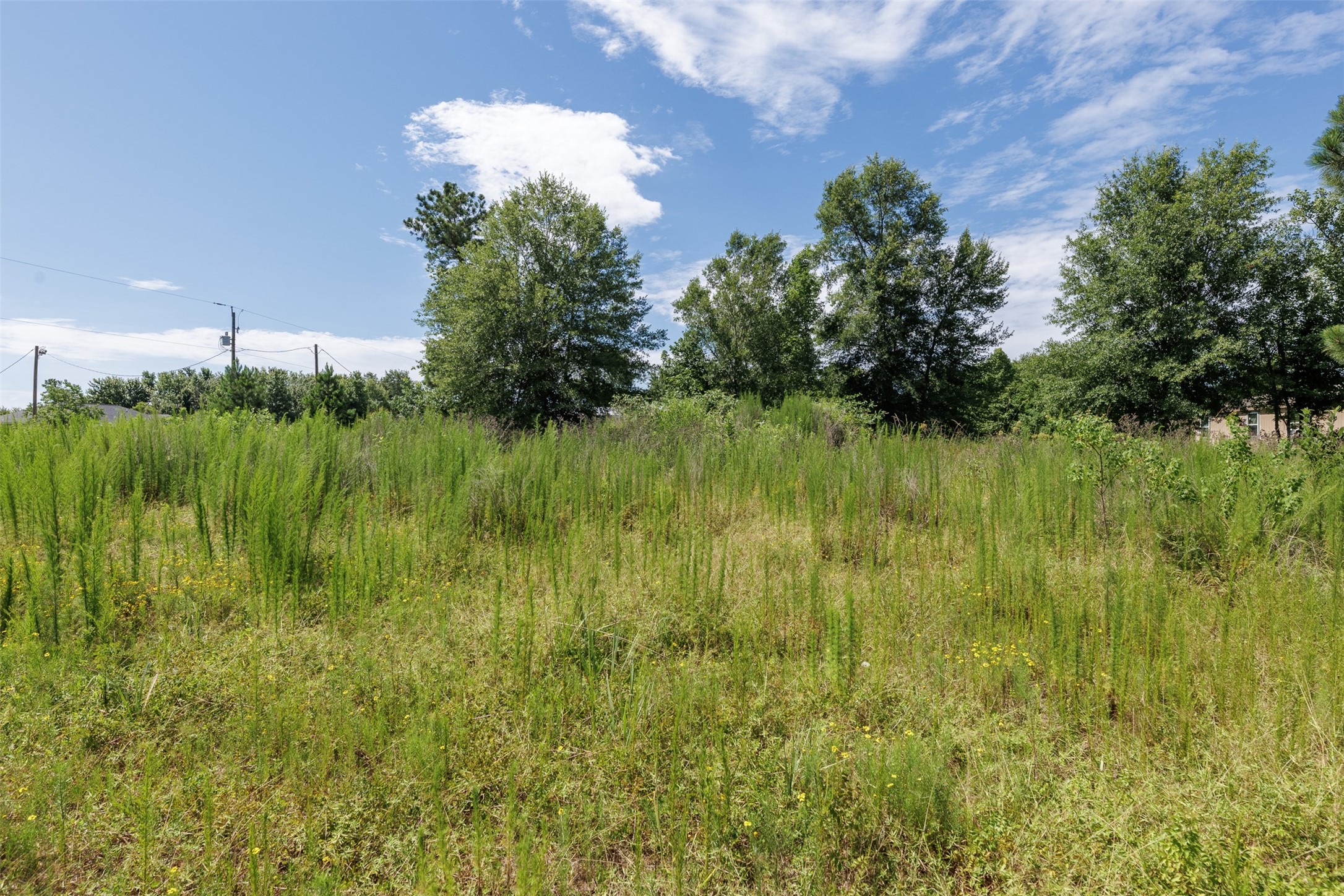 OF Road 3542 , Cleveland, TX, 77327 | 80402153 | Realty Texas LLC