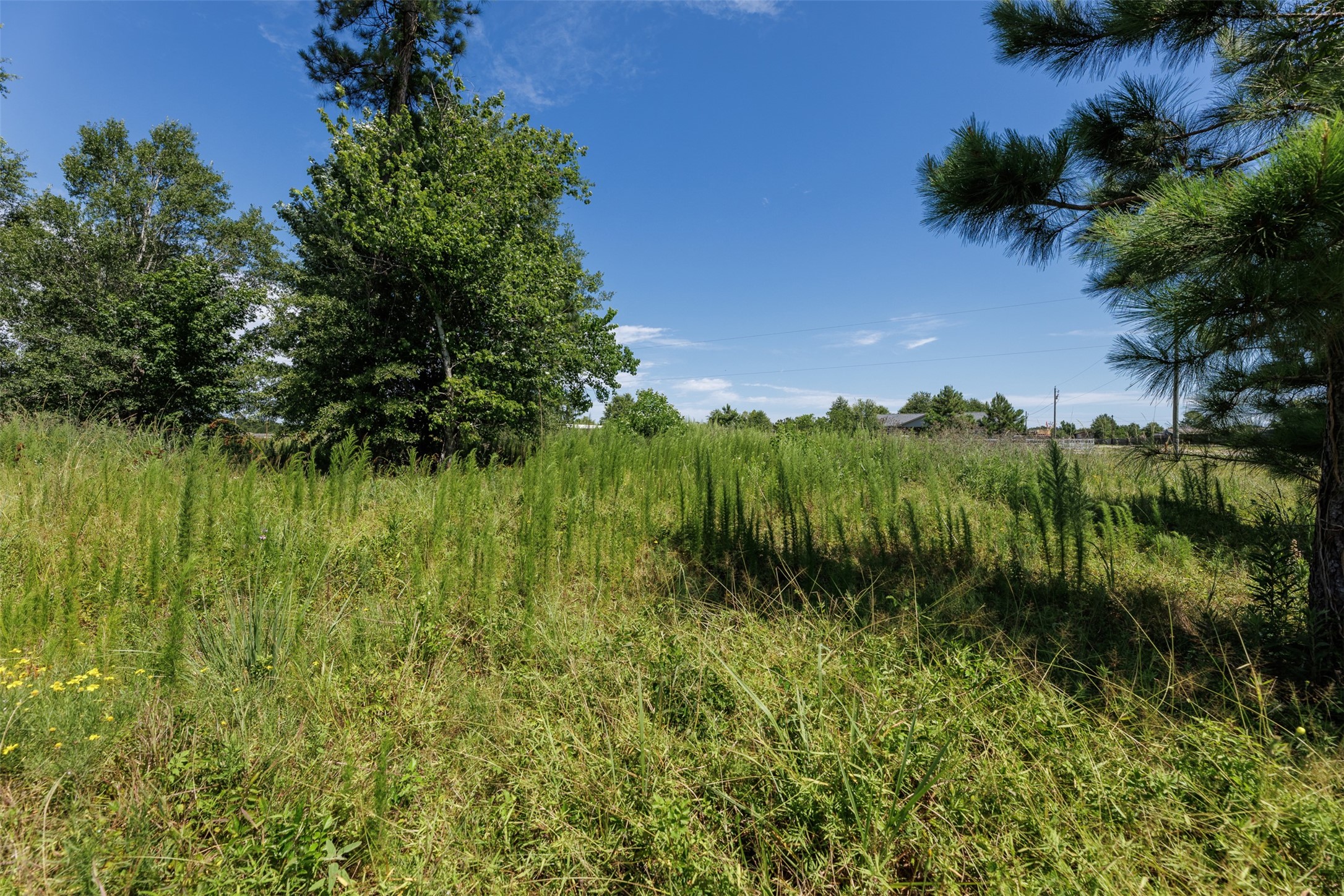 OF Road 3542 , Cleveland, TX, 77327 | 80402153 | Realty Texas LLC