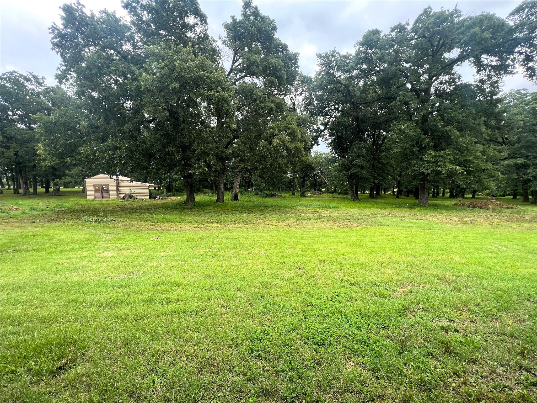 281 County Road 3646, Sulphur Springs, TX, 75482 | 20958150 | Realty Texas LLC