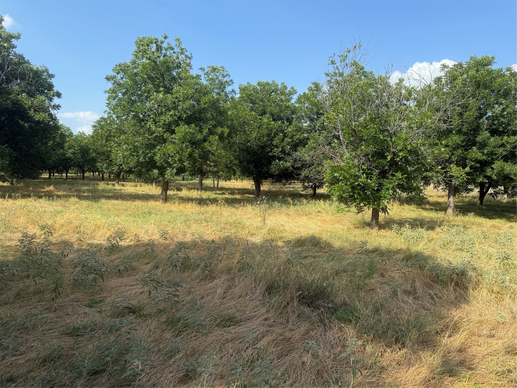 TBD CR 416, Comanche, TX, 76442 | 20960765 | Realty Texas LLC
