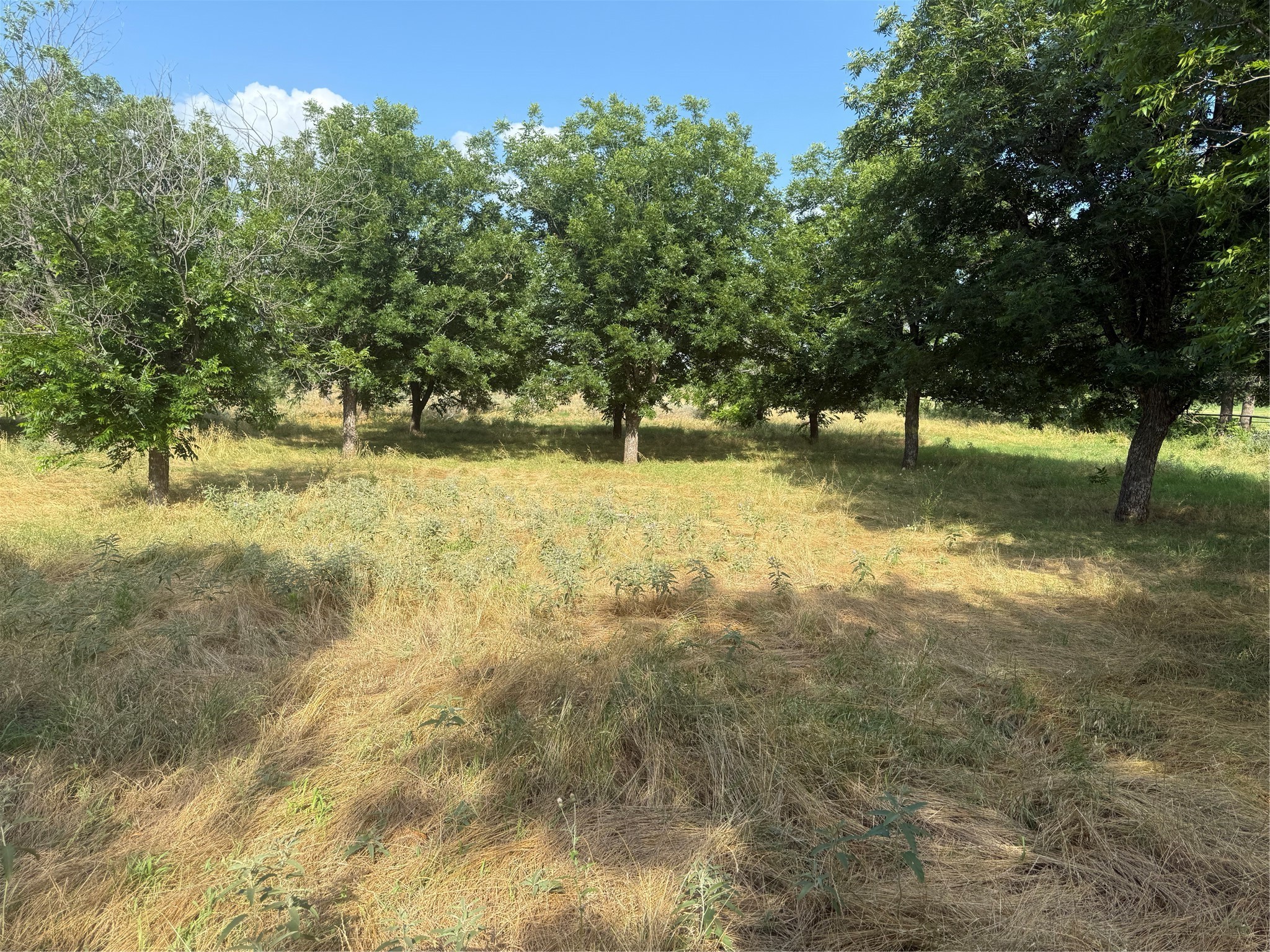 TBD CR 416, Comanche, TX, 76442 | 20960765 | Realty Texas LLC