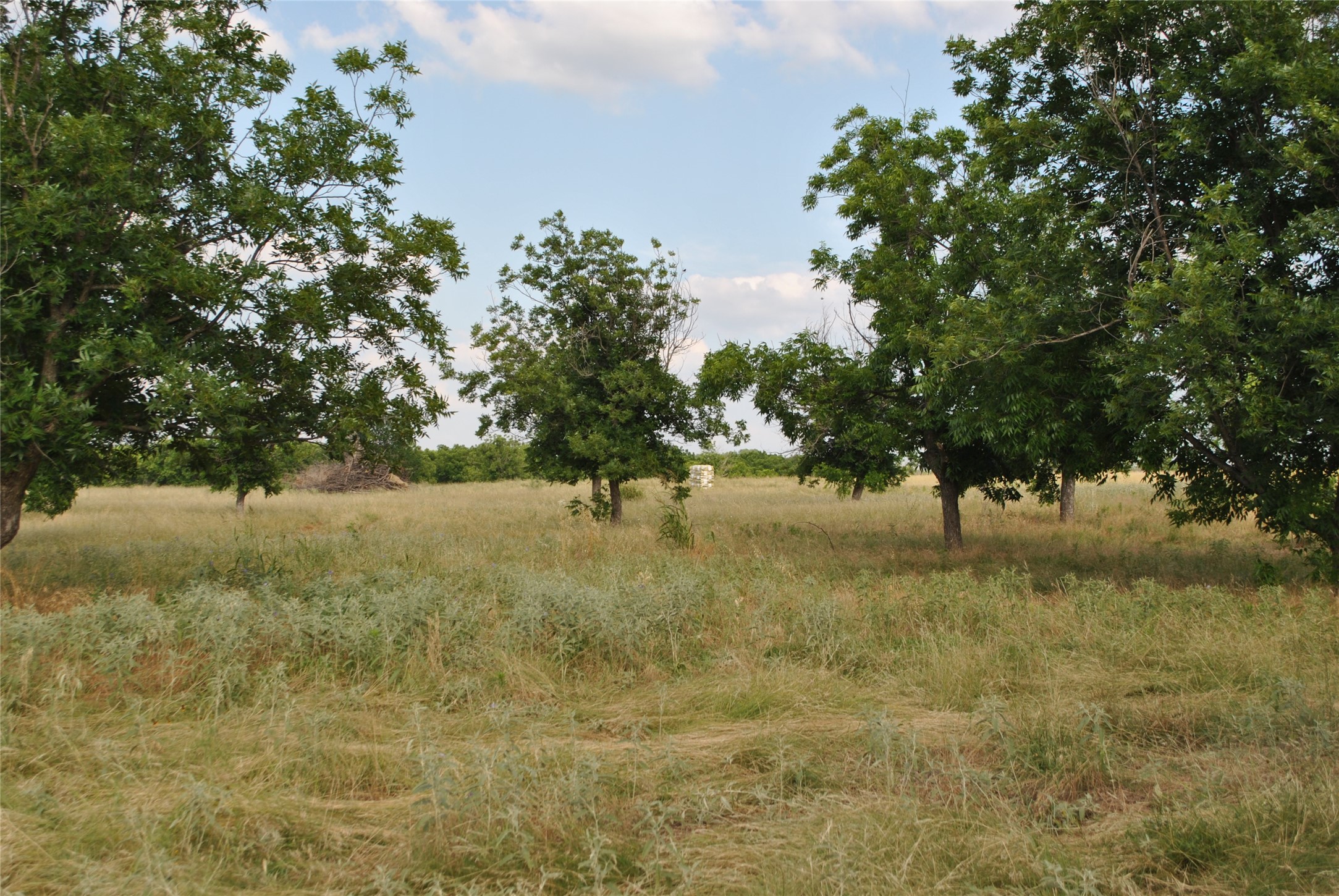 TBD CR 416, Comanche, TX, 76442 | 20960765 | Realty Texas LLC