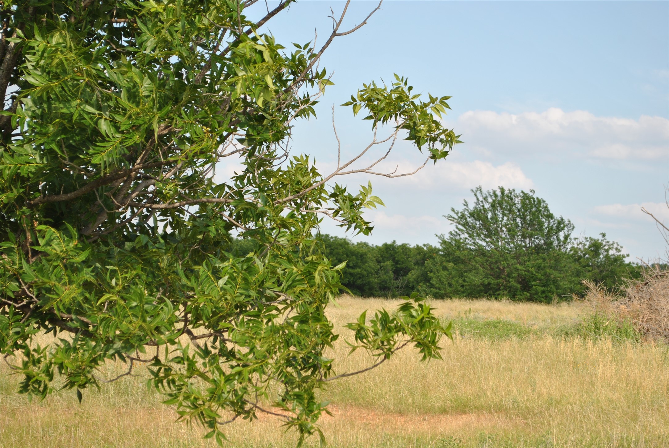TBD CR 416, Comanche, TX, 76442 | 20960765 | Realty Texas LLC
