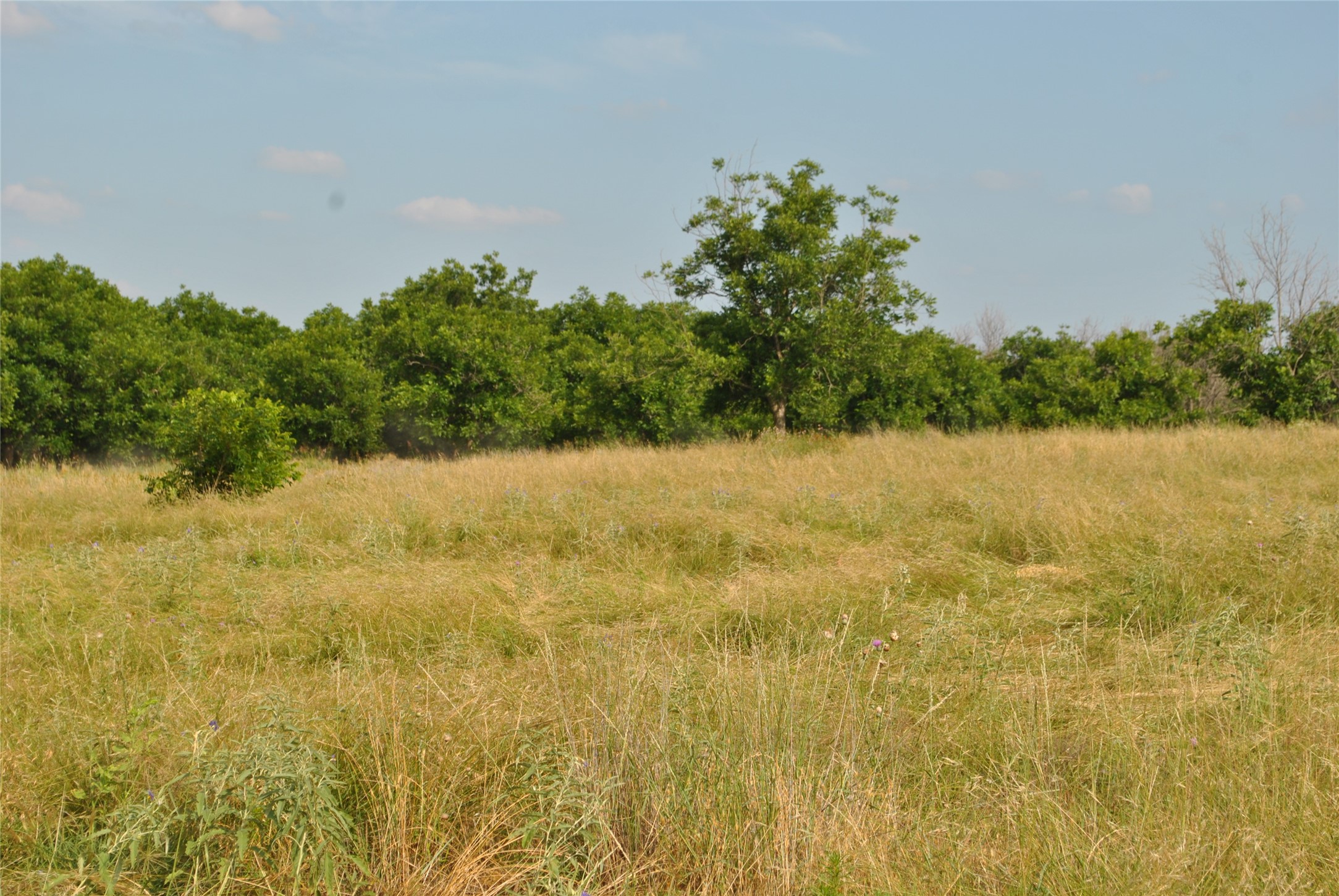 TBD CR 416, Comanche, TX, 76442 | 20960765 | Realty Texas LLC