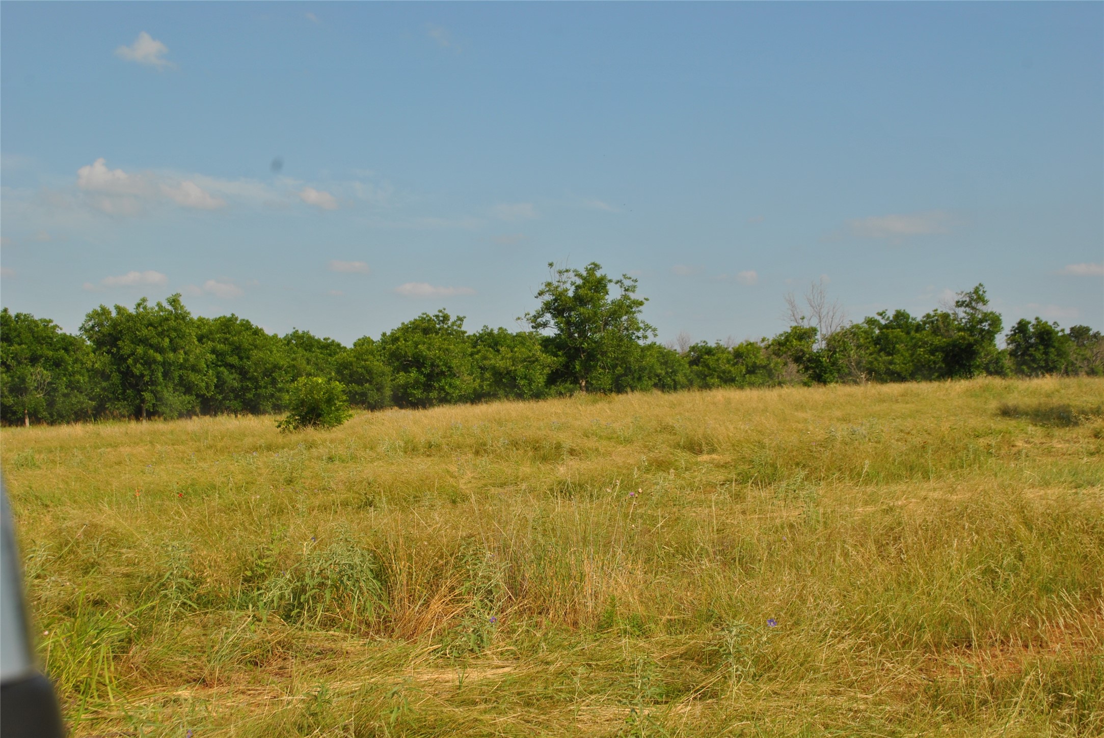 TBD CR 416, Comanche, TX, 76442 | 20960765 | Realty Texas LLC