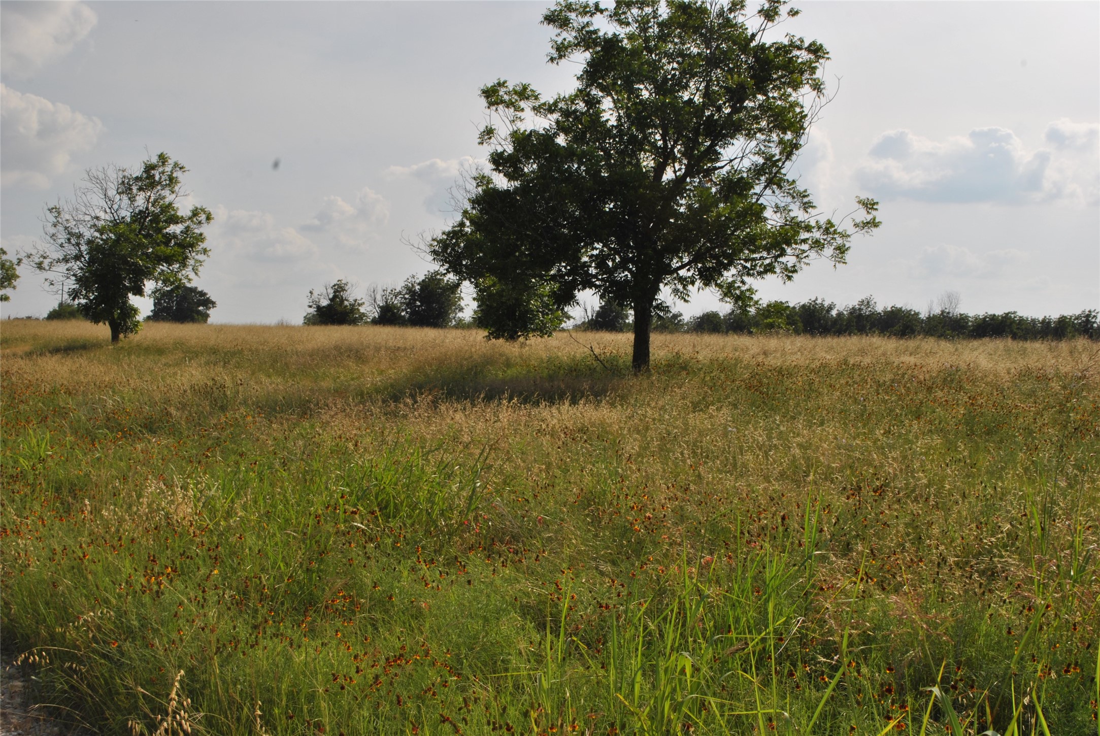 TBD CR 416, Comanche, TX, 76442 | 20960765 | Realty Texas LLC